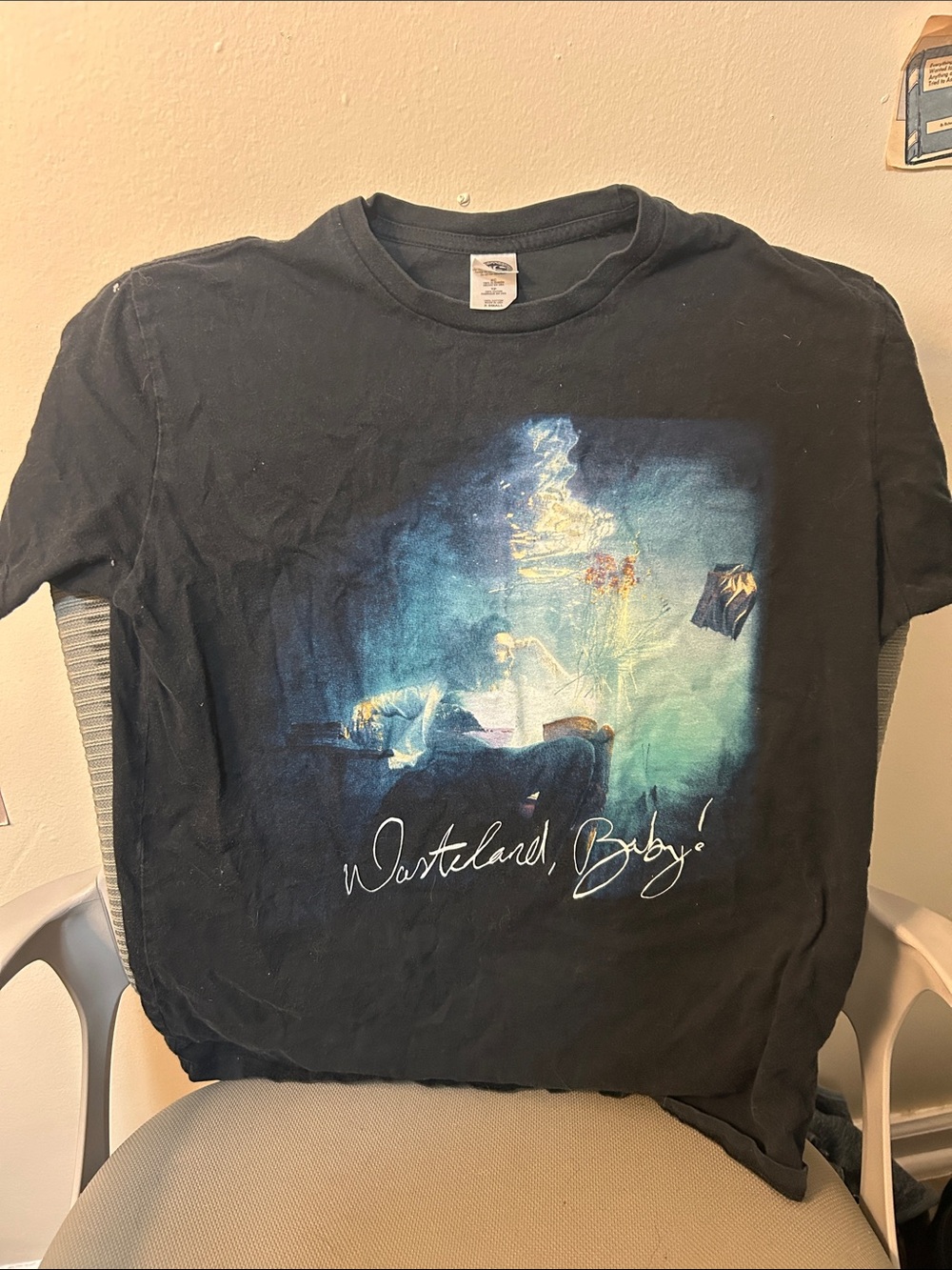 Wasteland Baby! Hozier Graphic Tee